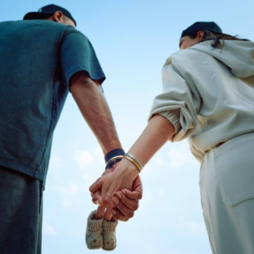 Description of the pic