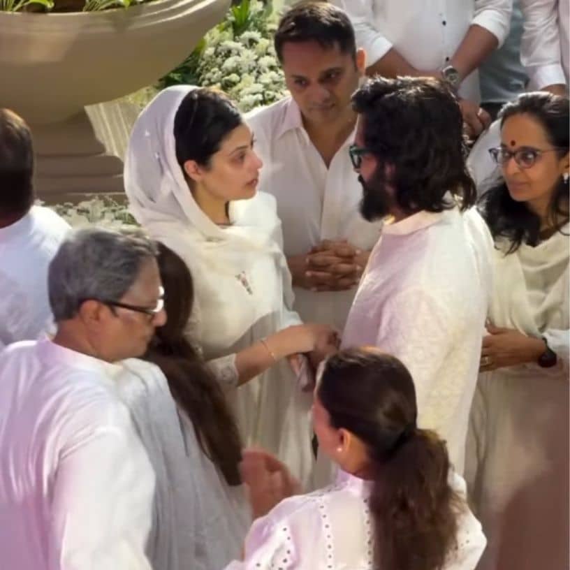 Description of the pic