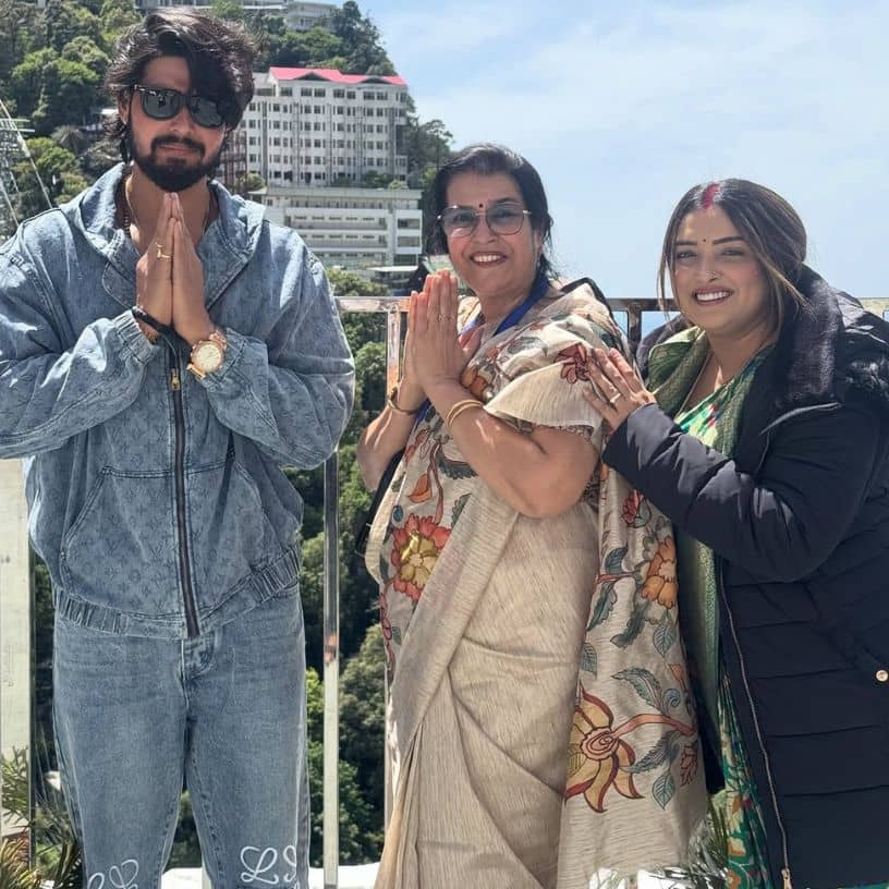 Description of the pic