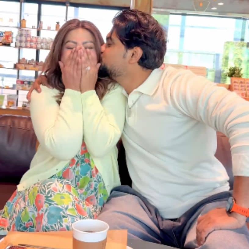 Description of the pic