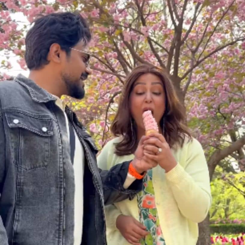 Description of the pic