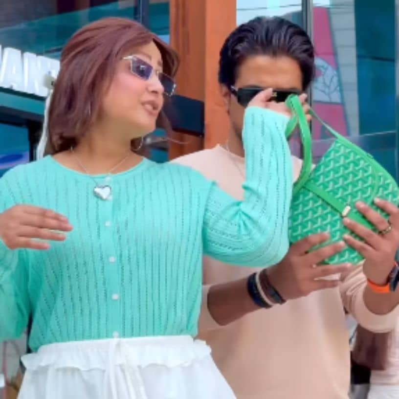 Description of the pic