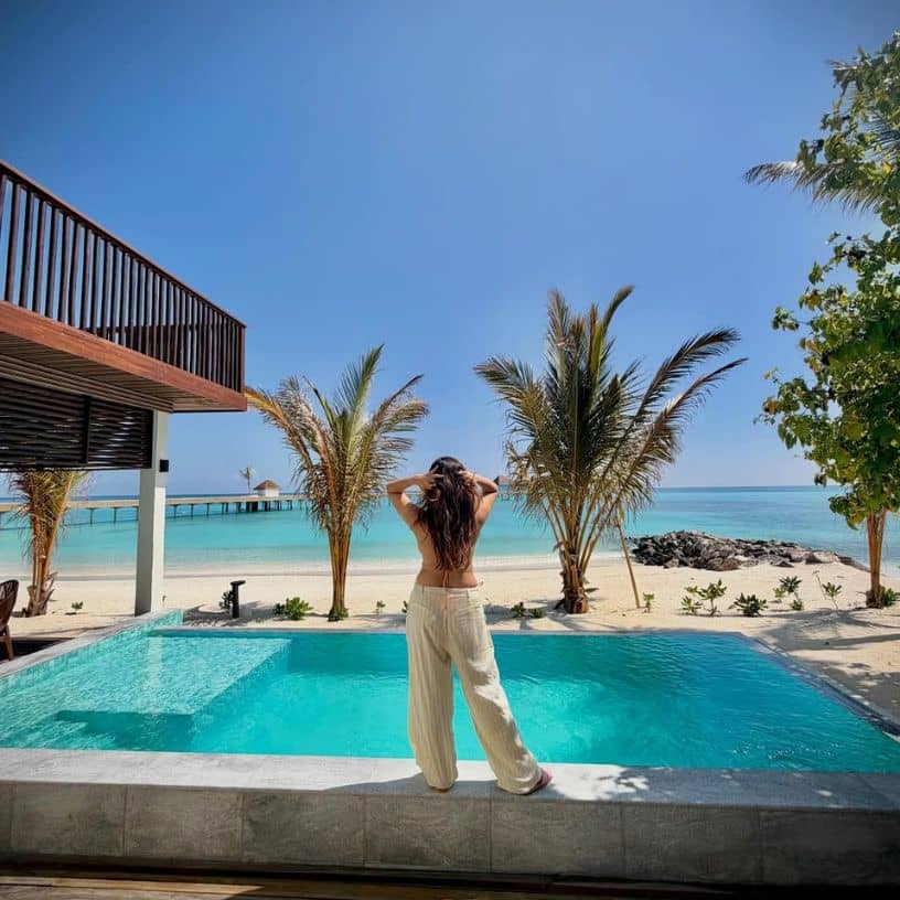 Description of the pic