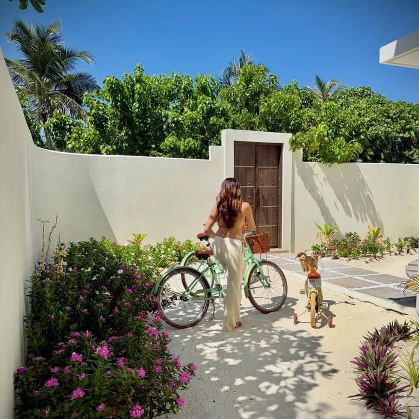 Description of the pic