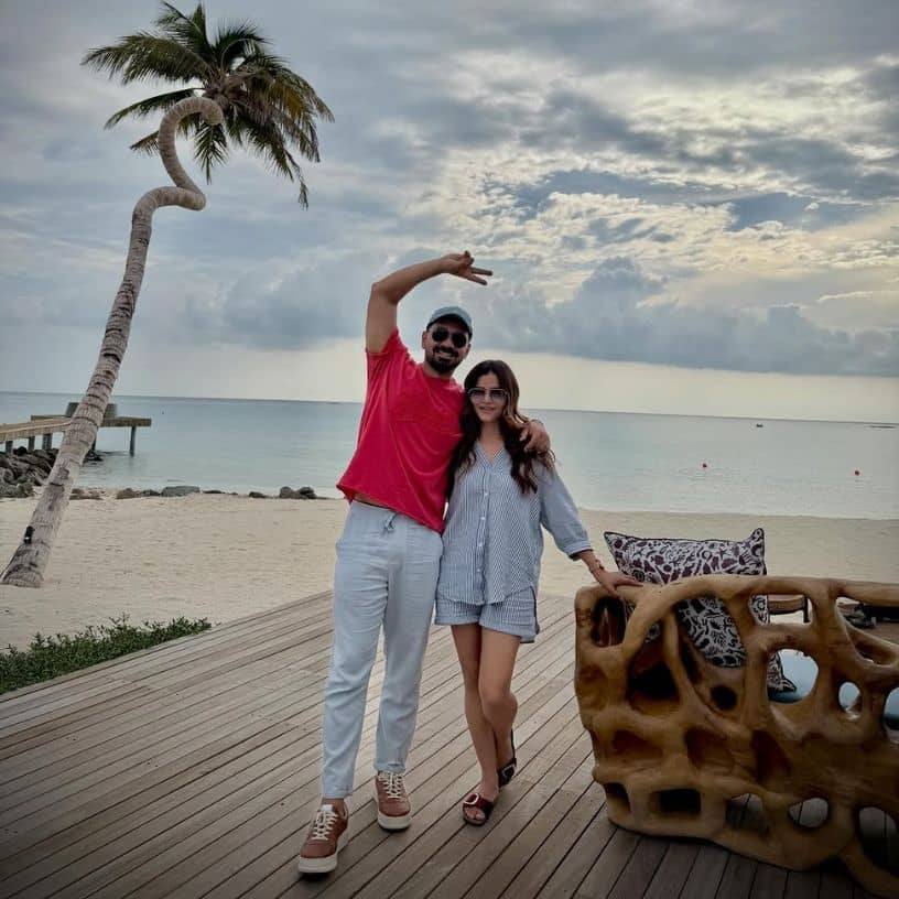 Description of the pic