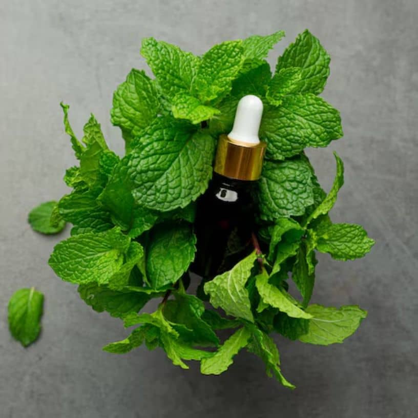 तस्वीर का विवरण