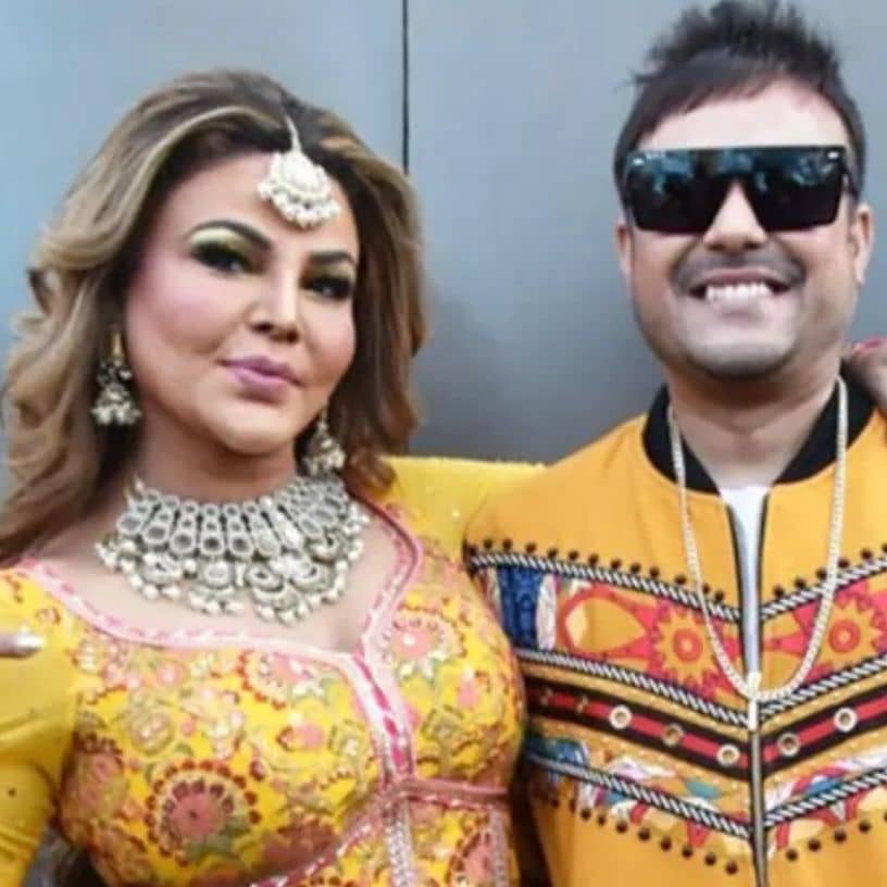 Description of the pic