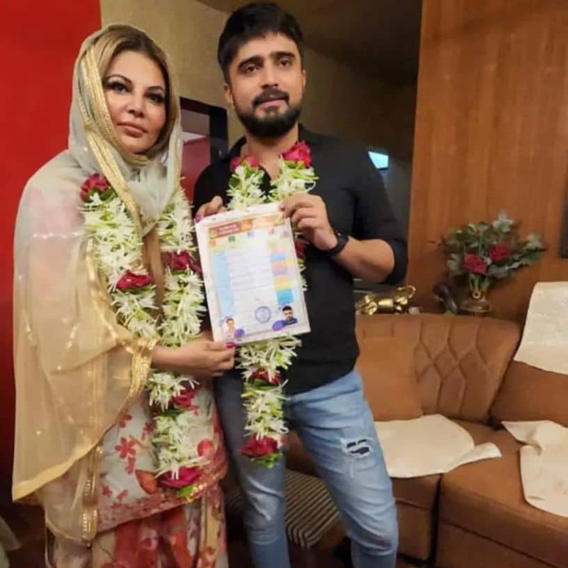 Description of the pic