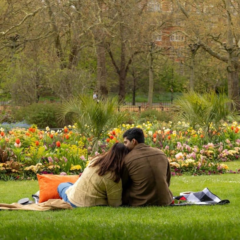 Description of the pic