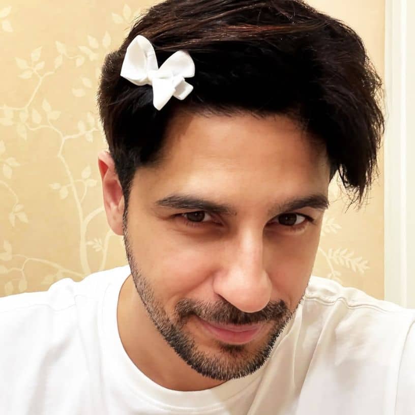 Description of the pic