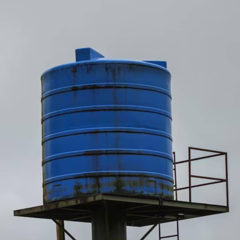 तस्वीर का विवरण