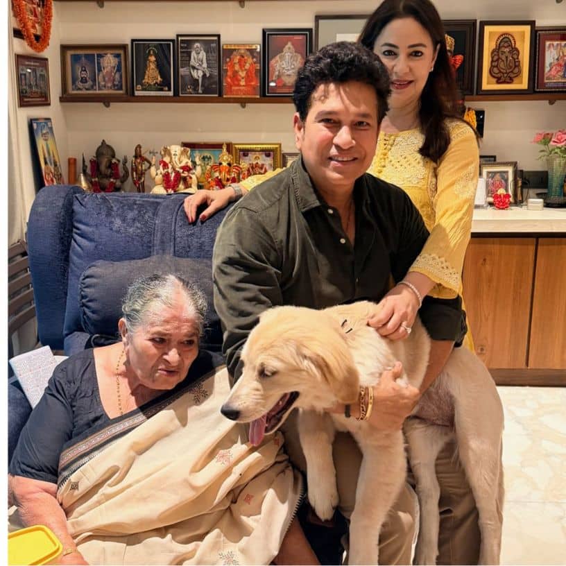 Description of the pic