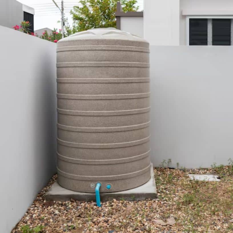 तस्वीर का विवरण