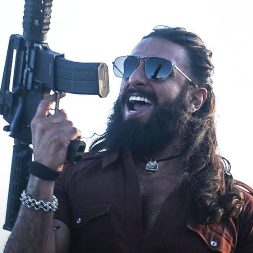 Description of the pic