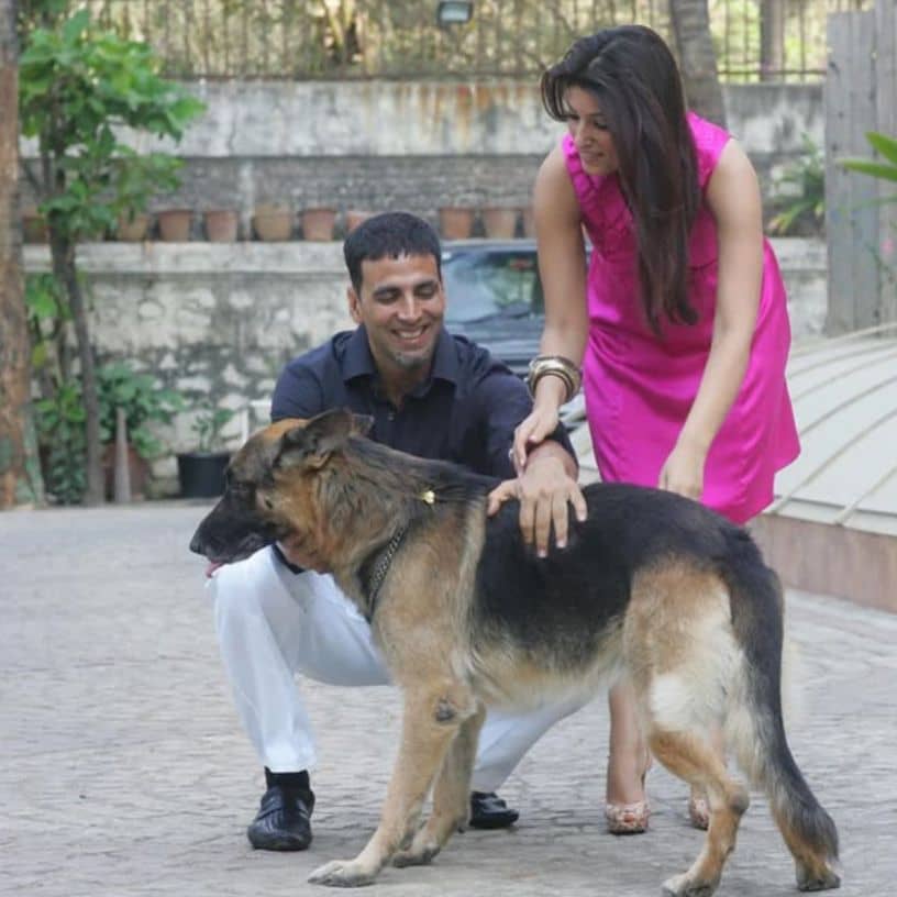 Description of the pic