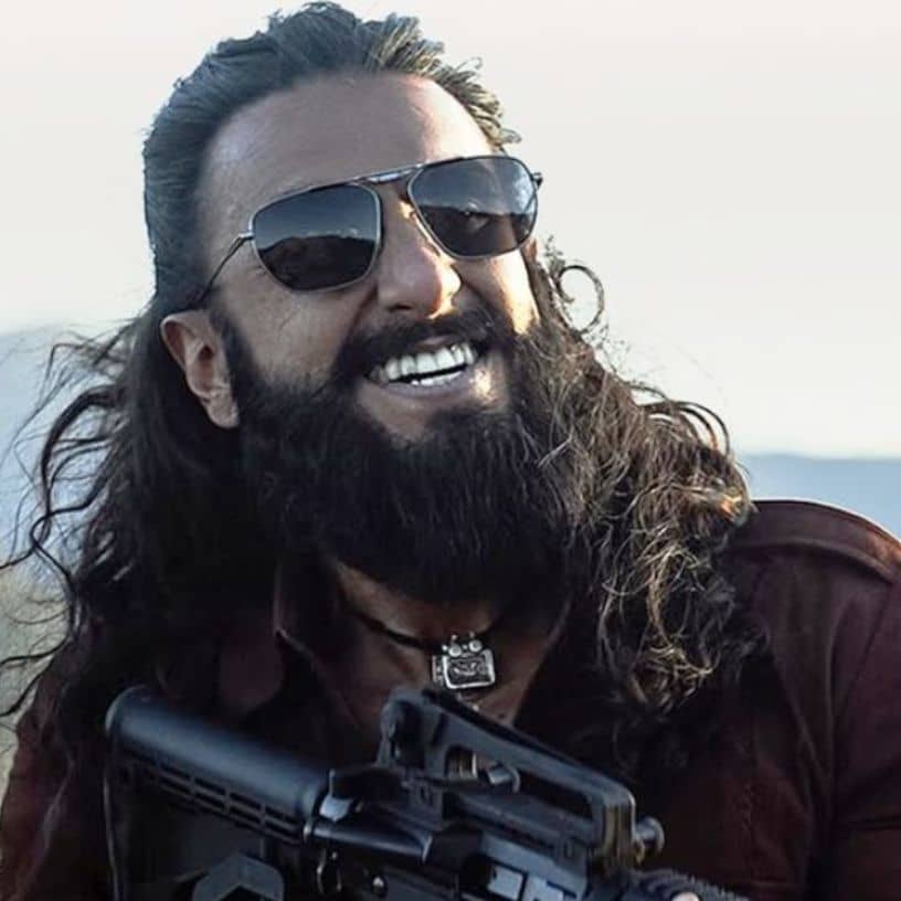 Description of the pic