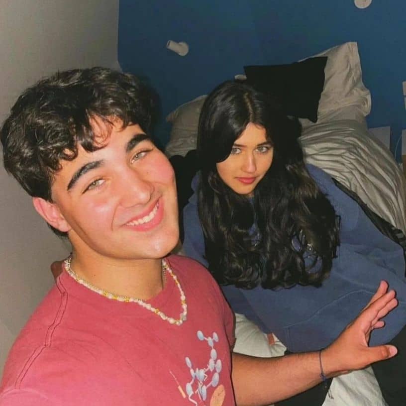 Description of the pic