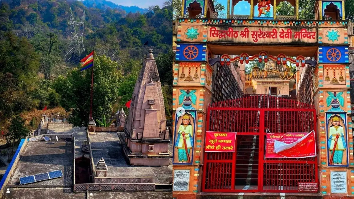 Uttarakhand Minister's Son's Wedding Plans in Rajaji Tiger Reserve Spark Controversy Over Wildlife Norms Uttarakhand Minister's Son's Wedding Plans in Rajaji Tiger Reserve Spark Controversy Over Wildlife Norms