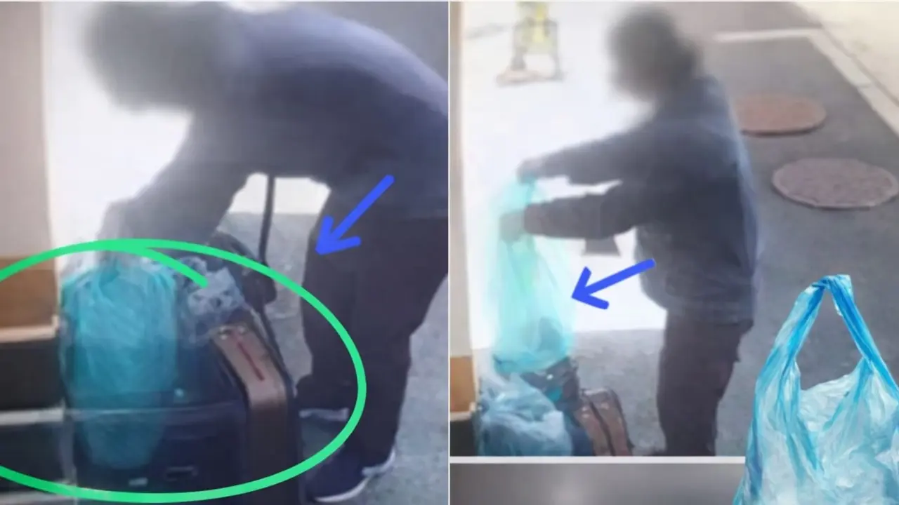 डस्टबिन से कूड़ा फेंकने वाली थैलियां चुराने लगे लोग... ईरान युद्ध से कोरिया में क्यों मचा हड़कंप? Viral Video