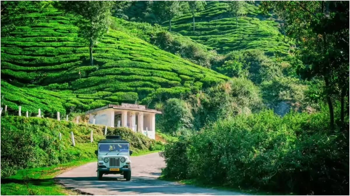 Visit to a tea garden is a must for tea lovers