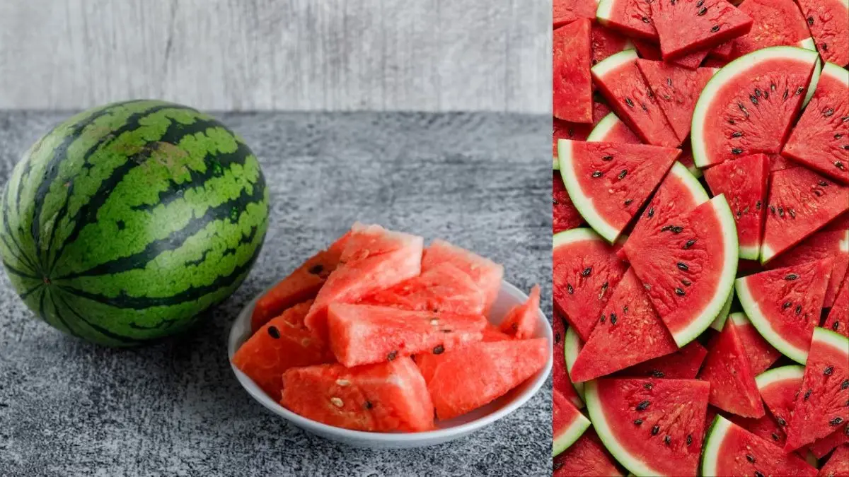 Watermelon Eating Tips: तरबूज खाते समय भूलकर भी न करें ये 5 गलतियां, वरना सेहत से धो बैठेंगे हाथ; महीनों रहेंगे बीमार Watermelon Eating Tips