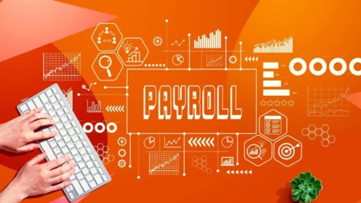 What Really Drives Payroll Software Pricing? A Breakdown for Business Owners What Really Drives Payroll Software Pricing? A Breakdown for Business Owners