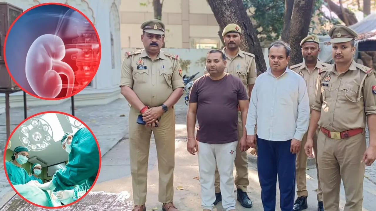 कानपुर किडनी रैकेट मामले में योगी सरकार का ताबड़तोड़ एक्शन, 2 और गिरफ्तार, NCR के बड़े अस्पतालों जुड़ा कनेक्शन; खुला बड़ा राज Yogi Govt Action in Kanpur Kidney Racket