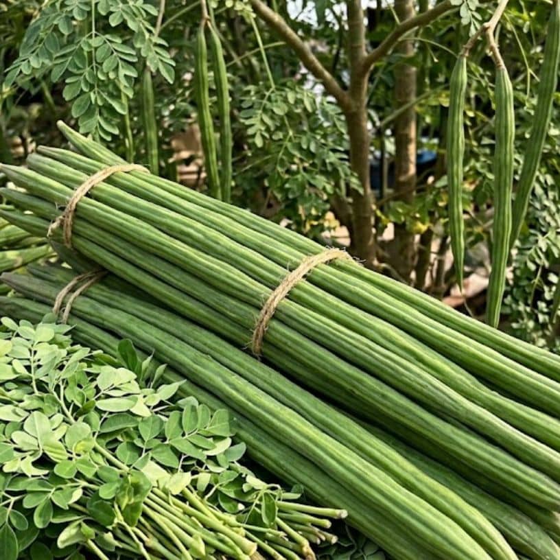 तस्वीर का विवरण