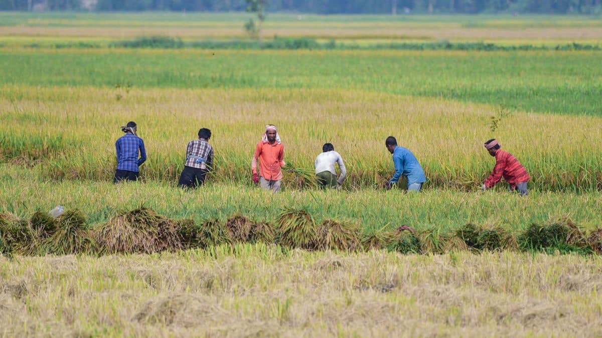 Agriculture Outlook I FY27