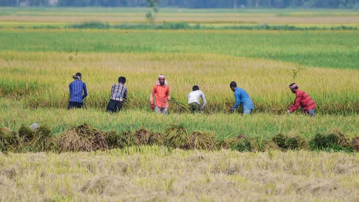 Agriculture Outlook For FY27 Hinges On Monsoon Progress, Distribution & El Nino Risk: RBI Agriculture Outlook I FY27