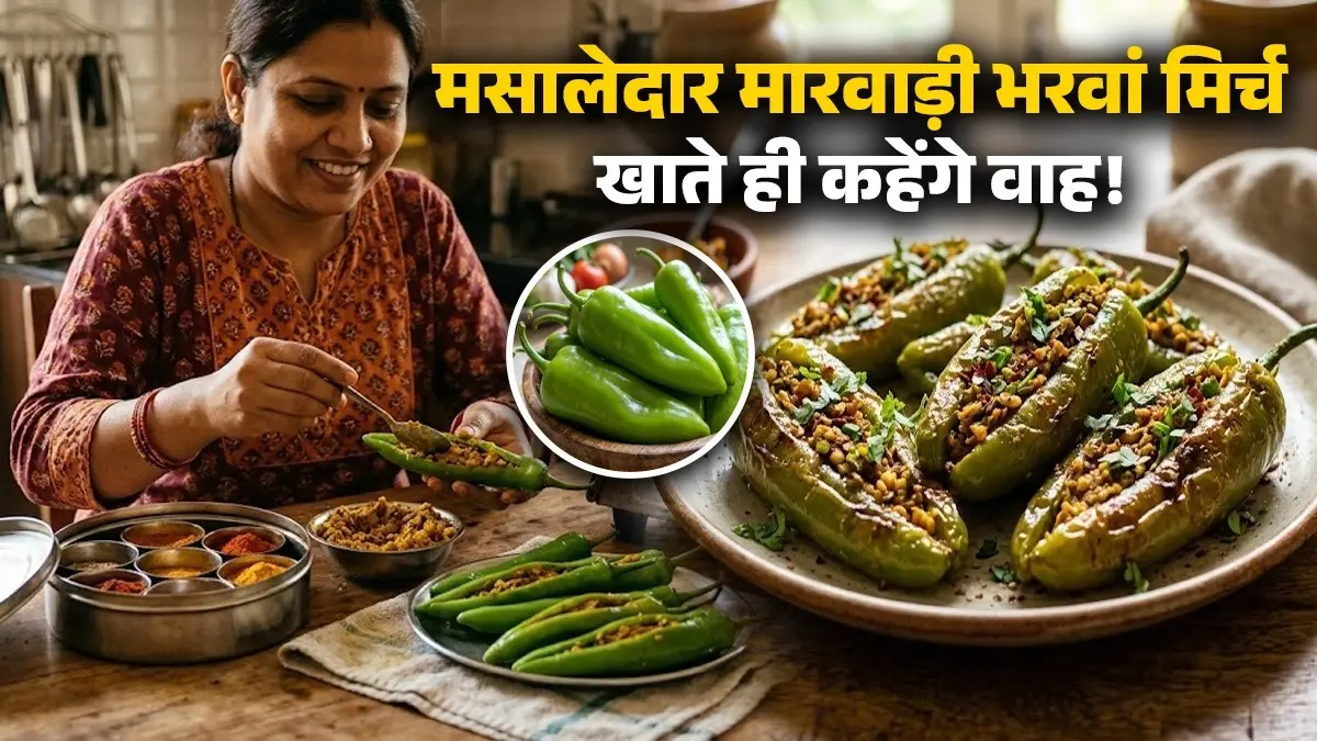 Bharwa Mirch Recipe: घर पर बनाएं मसालेदार मारवाड़ी भरवां मिर्च, खाते ही चाटते रह जाएंगे उंगलियां; नोट करें विधि bharwa mirch recipe rajasthan marwadi style mirchi stuffed green chilli recipe masaledar Indian dish