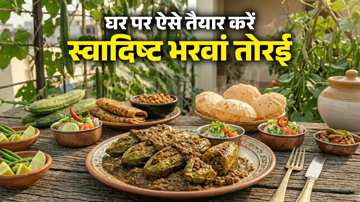 Bharwan Torai Recipe: घर पर ऐसे तैयार करें मसालेदार भरवां तोरई, बच्चे भी मांग-मांग कर खाएंगे; नोट करें विधि Bharwan Torai