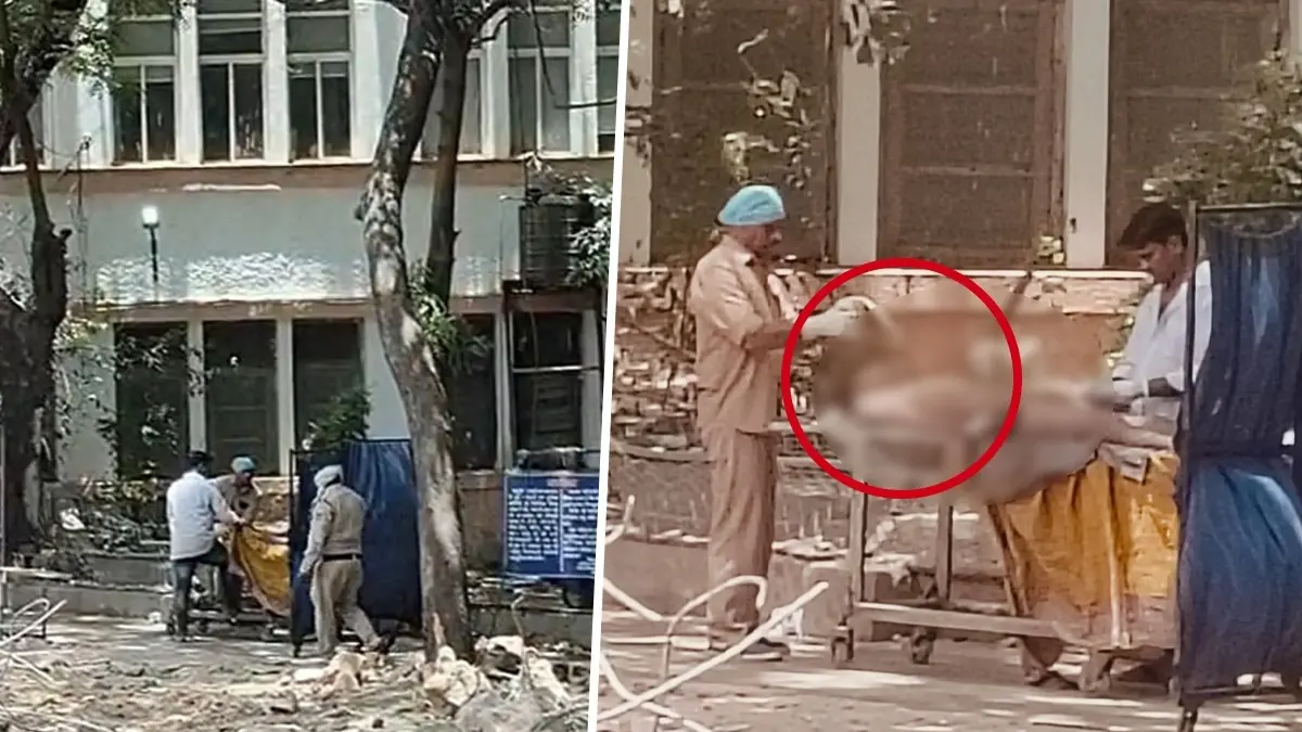 Bhopal Shocker: Horrific Video Shows Open Post-Mortem Stitching On Naked Body Outside Hamidia Hospital Mortuary Bhopal Shocker: Horrific Video Shows Open Post-Mortem Stitching On Naked Body Outside Hamidia Hospital Mortuary