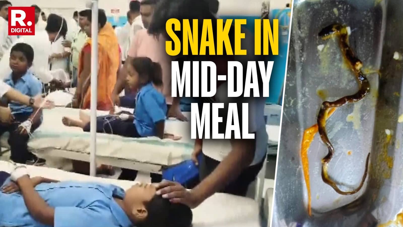 Bihar Horror: Over 250 Children Taken Ill After ‘Baby Snake’ Found in Mid-Day Meal