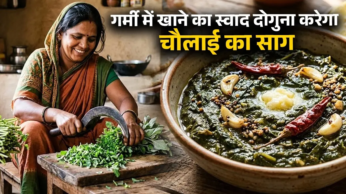 Chaulai Ka Saag Recipe: पनीर-चिकन सब हो जाएगा फेल, घर में ऐसे बनाएं चौलाई का साग; गर्मी में खाने का स्वाद होगा दोगुना chaulai ka saaag recipe for summer healthy Indian recipe Amaranth saag recipe