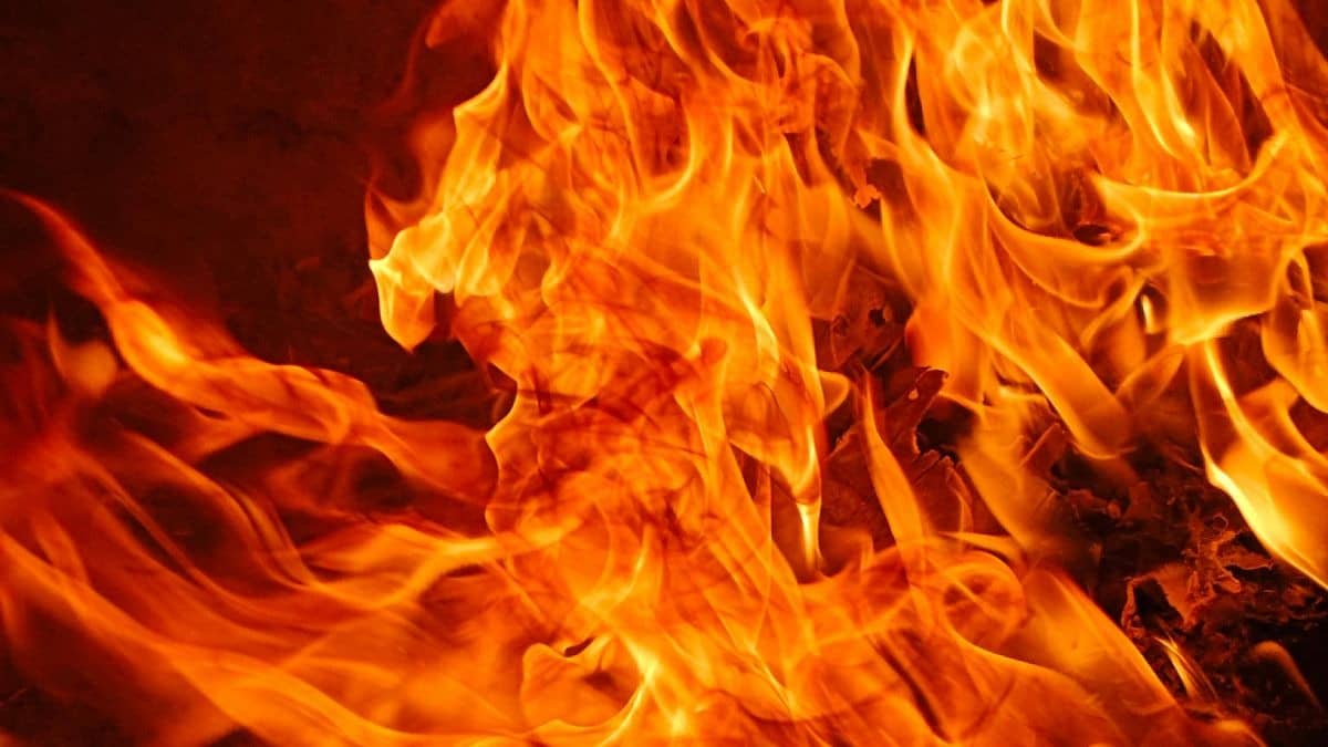Delhi Horror: Man Shoots Reel Blaming Wife, Sets Himself on Fire Outside In-Laws’ Home After Divorce Refusal