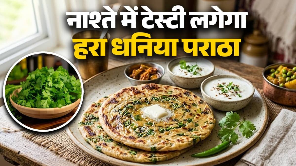 dhaniya paratha recipe for breakfast healthy recipe green coriander paratha hara dhaniya  