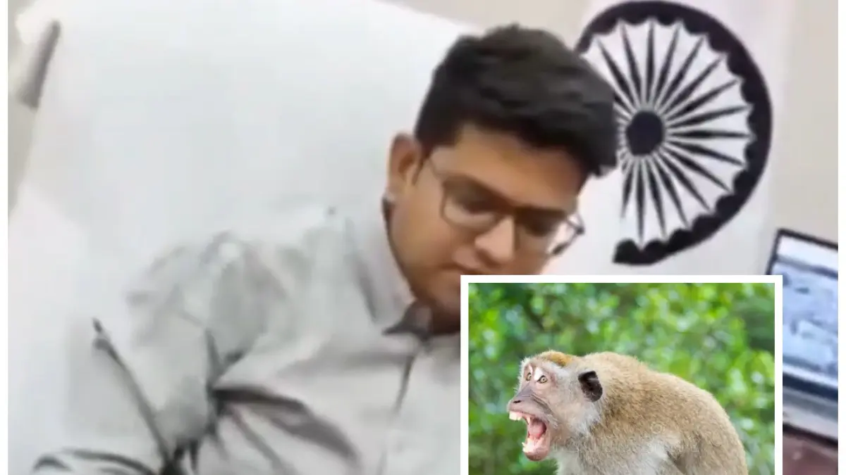 ‘DM Busy on Phone’: Siddharthnagar Video Over Monkey Attack Complaint Sparks Outrage, Villager Later Says Action Was Taken ‘DM Busy on Phone’: Siddharthnagar Video Over Monkey Attack Complaint Sparks Outrage, Villager Later Says Action Was Taken