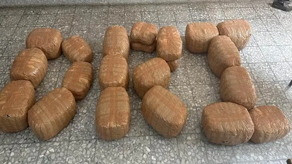 DRI Busts Major Ganja Consignment in Bihar, Arrests Two in Anti-Drug Operation DRI Busts Major Ganja Consignment in Bihar, Arrests Two in Anti-Drug Operation