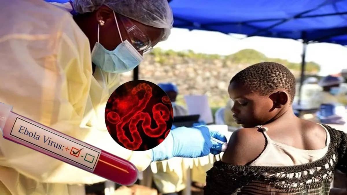 Ebola Outbreak: इबोला वायरस से हुई 200 लोगों की मौत, मचा दुनियाभर में हड़कंप; WHO ने किया अलर्ट तो एक्शन में स्वास्थ्य मंत्रालय