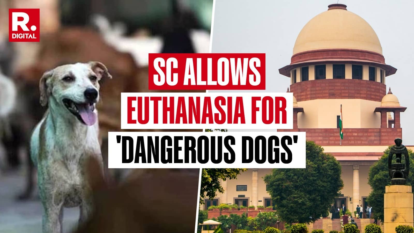 ‘Euthanasia, Contempt Warning & No Release Near Schools’: Top Takeaways From SC’s Landmark Stray Dog Verdict