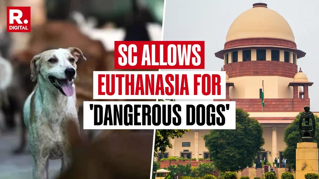 ‘Euthanasia, Contempt Warning & No Release Near Schools’: Top Takeaways From Supreme Court’s Landmark Stray Dog Verdict ‘Euthanasia, Contempt Warning & No Release Near Schools’: Top Takeaways From SC’s Landmark Stray Dog Verdict