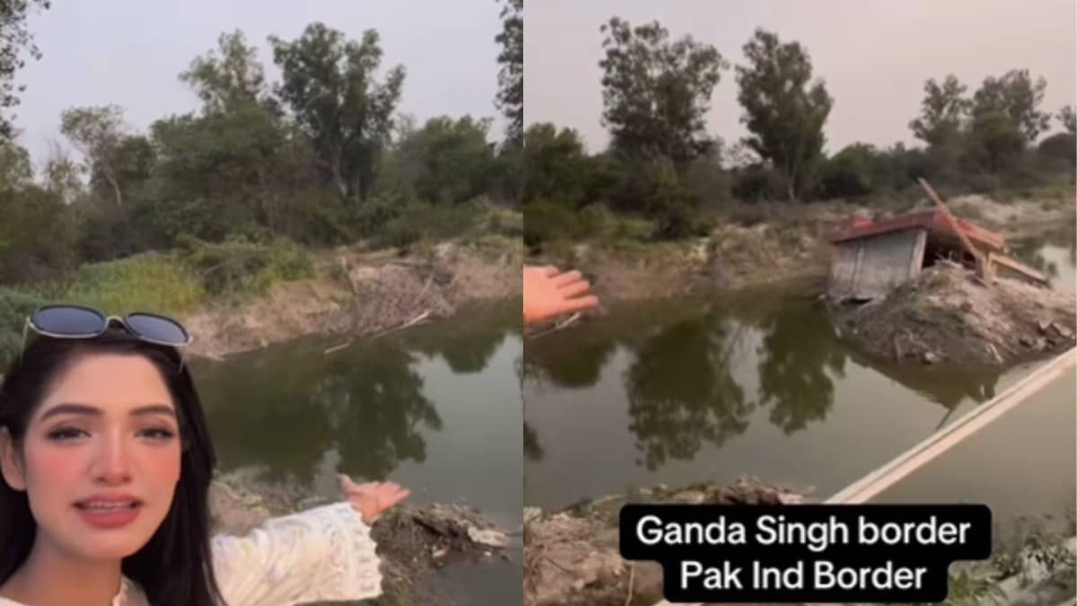 Did Pak Journalist Easily Step Into India At Ganda Singh Border? Here's What Netizens Pointed Out