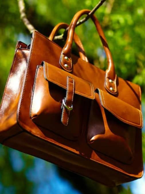 Handbag Styles