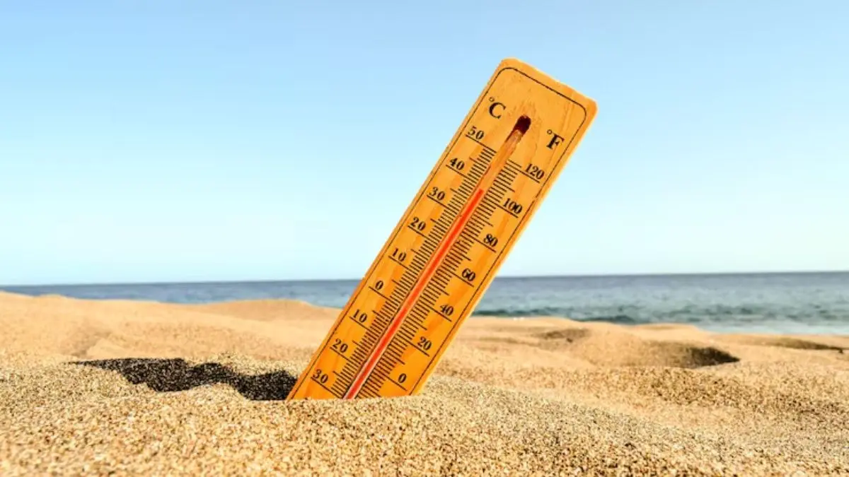 96-Hour Heatwave Alert For Jaisalmer, Barmer As Mercury Nears 50°C 96-Hour Heatwave Alert For Jaisalmer, Barmer As Mercury Nears 50°C