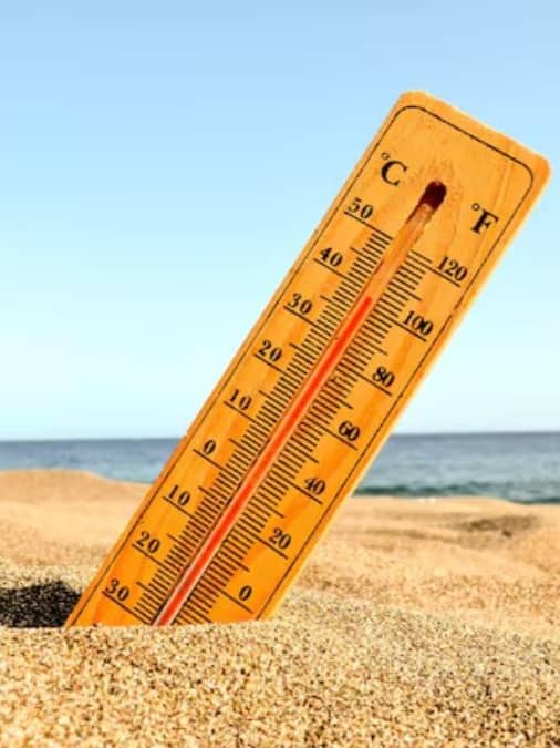 Heatwave alert