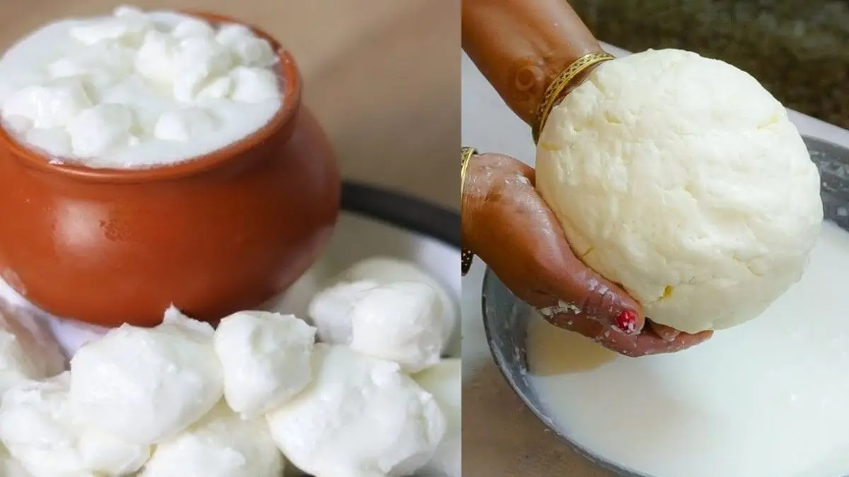 How To Make Butter At Home Easily: हाथ भी नहीं दुखेगा और मिनटों में निकलेगा मटका भर मक्खन, बस दही में मिला दें ये एक चीज; जानिए आसान तरीका How To Make Butter At Home Easily