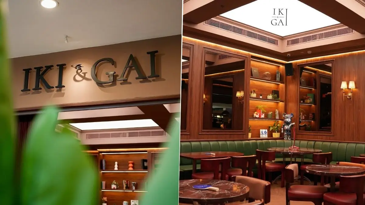 The Long Summer of Delhi, the Quiet of RK Puram Nights Iki & Gai in Delhi's RK Puram