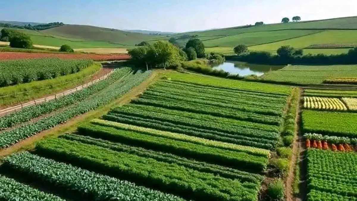 India Releases 2996 Climate-Resilient Crop Varieties, Establishes ...