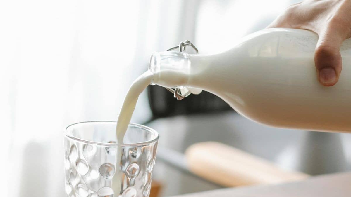 Kerala Milk Prices See Sharp Spike: Milma Announces Rs 4/Litre Hike; Check Revised Rates Effective June 1